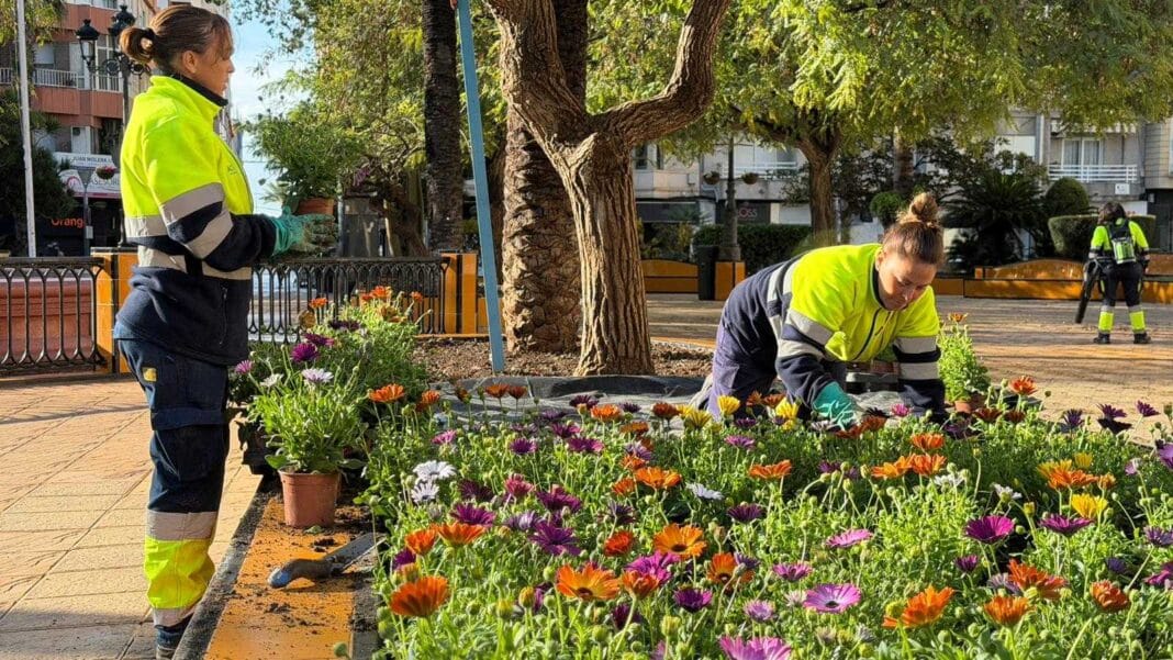 De afdeling Parken en Tuinen heeft de afgelopen weken seizoensbloemen geplant om de stedelijke omgeving te verfraaien, het stadsbeeld te verbeteren en aangenamere openbare ruimtes te creëren voor zowel inwoners als toeristen.