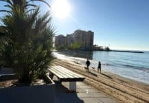 Torrevieja Installs New Planters After Palm Tree Safety Review Torrevieja City Council has installed eight new planters along the Juan Aparicio seafront promenade following a technical safety review of existing palm trees.