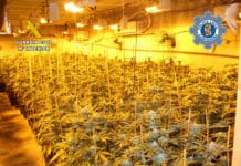 Marijuana greenhouse dismantled inside warehouse in La Aljorra, Cartagena The Guardia Civil in the Region of Murcia and Cartagena Local Police have dismantled a clandestine marijuana greenhouse inside a warehouse in La Aljorra, Cartagena, as part of Operation Lembe.