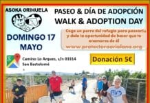 Asoka Orihuela to Host New Charity Dog Walk and Adoption Day To make the event more accessible, several sessions have been scheduled. Two sessions in Spanish will take place at 10.15am and 11.30am, while an English-language session will be held at 11.00am.