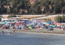 Calls for Orihuela Council to Clear Seaweed from La Caleta Beach as Summer Season Begins Questions are being raised over when accumulated seaweed will finally be removed from parts of Orihuela’s coastline, after large piles were seen still lying at the edges of La Caleta beach despite the start of the authorised beach-cleaning season.