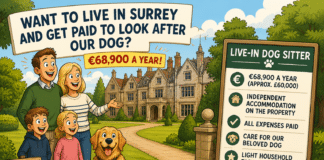British family offers €69,000 a year for live-in dog sitter role The listing has since gone viral, becoming one of those rare job offers that capture public imagination—combining a substantial salary, attractive living conditions and a singular, clearly defined priority: caring for a dog on a prestigious English estate.