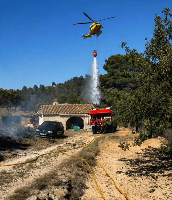 Reed Point Fire Firefighters Deploy Helicopter to Tackle Reed Fire in Catral - The ...