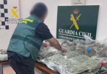 Los Alcázares Vehicle Check of fake Irish documents Brings Down European Drug Trafficking Network Officers seized more than 23 kilos of marijuana buds, one kilo of cocaine and 80 grams of heroin, along with vacuum-packing machines, precision scales and packaging equipment allegedly used to prepare the drug shipments.