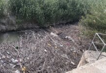 Orihuela Demands Urgent Action Over River Segura Waste Build-Up The council warned that the problem is especially serious during periods of rain or increased river flow, when the volume of waste reaching Orihuela rises significantly.
