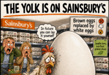 TONY MAYES RANT – NATION ON THE EDGE One thing which brings tears to my eyes is thinking about a smaller hen which has to lay a large egg!