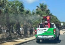 Orihuela Receives €7,991 for Mosquito Control The grant will allow the council to continue monitoring, prevention and treatment work across the municipality, particularly in wetlands, waterways and other areas where environmental conditions encourage insect breeding.