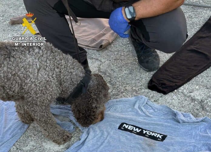 The operation has led to the identification, location and arrest of the alleged perpetrator. The suspect’s partner has also been arrested for her alleged involvement in a previous robbery with violence and intimidation suffered by the victim at his home late last year.