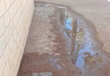 Sewage Once Again Surfaces in the Playground of CEIP Josefina Manresa The Parents’ Association of CEIP Josefina Manresa in Orihuela has once again reported serious defects at the school. On this occasion, the issue concerns a recurring problem at the centre: sewage leaking from the pipes that run from the school dining hall.