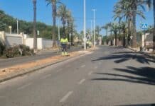 People Power Stops Concreting of Cabo Roig Central Reservations Although the campaign came too late to prevent much of the vegetation being cut down, residents have secured a redesign of the project. Instead of being paved, the median will now be replanted with low-growing, drought-resistant species suited to the local climate.