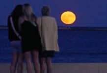 Spain Looks to the Skies for July’s Buck Moon Ahead of Historic Eclipse The moon will officially reach its fullest phase on Wednesday, July 29, at approximately 4.35pm Spanish mainland time.