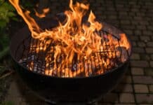 Expats beware – Lighting a BBQ can cost you up to half a million Euros Simple acts like lighting a BBQ in a forested area, or throwing a lighted cigarette out of your car window can spark a fire and land you with a hefty fine.