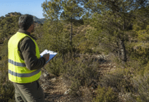 Orihuela Secures €77,600 to Employ Three Unemployed Residents The funding has enabled the council to recruit a senior forestry and environmental management technician for ten months, from July 31 until May 30, 2027.