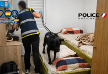 Migrant-Smuggling “Taxi Service” Between Alicante and France Dismantled Three suspects have been arrested during the joint cross-border investigation, with two remanded in custody. Police believe the organisation carried out more than 20 illegal journeys and generated approximately €100,000.