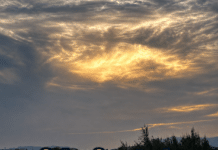 Solar Spectacle Becomes a Cloudy Letdown After months of anticipation, careful planning and endless warnings about eye safety, the Southern Costa Blanca’s much-hyped solar eclipse disappeared behind the one thing nobody had ordered: a thick blanket of cloud.