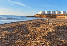 Four Days after Storm, Blue Flag Beach Cala Estaca still Awash With Debris Visitors to Cala Estaca, also known as Playa Flamenca, and one of the blue flag jewels of Orihuela Costa, have found the sand strewn with rubbish and vegetation four days after heavy rain swept across Orihuela Costa.