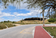 Private Claimants Challenge Torrevieja Council Over 14.7 Hectares of Land in Las Torretas Federico Alarcón, councillor responsible for reporting on decisions by the Local Government Board, said the dispute began after the council formally registered the plots as municipal property.