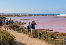 Torrevieja Marks World Tourism Day with Three-Day Programme Torrevieja will celebrate World Tourism Day with three days of activities showcasing the municipality’s natural environment, maritime heritage, culture, gastronomy and sporting facilities.