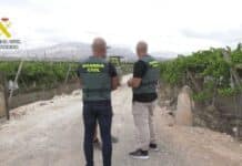 Grape Expectations Dashed as Guardia Arrest Two Men Grape Expectations Dashed as Guardia Arrest Two Men
