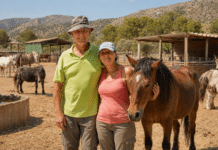 The Accidental Sanctuary: How One Couple Built Spain’s Leading Horse Haven What began with stepping in to help a single horse eventually evolved into the Easy Horse Care Rescue Centre.