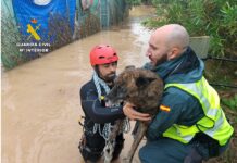 Guardia Civil Works Through the Night as Storm Adam Floods Roads Across Alicante Rescue teams have been assisting residents, checking vehicles swept along by floodwater and responding to overflowing rivers and flooded ravines across the Marina Alta.